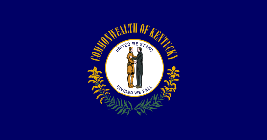 Hardinsburg Flag