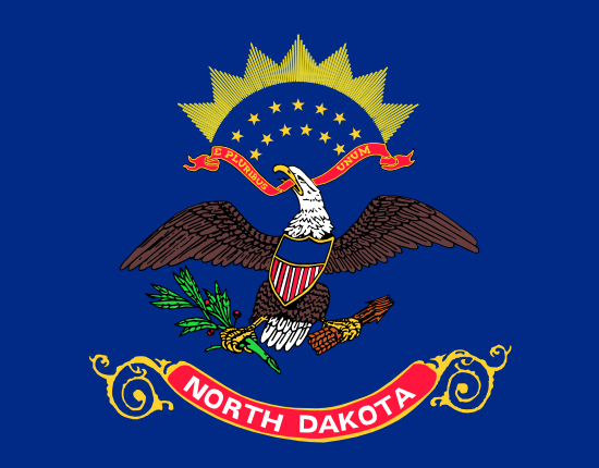 Renville County Flag