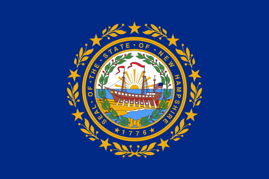 Unity town Flag