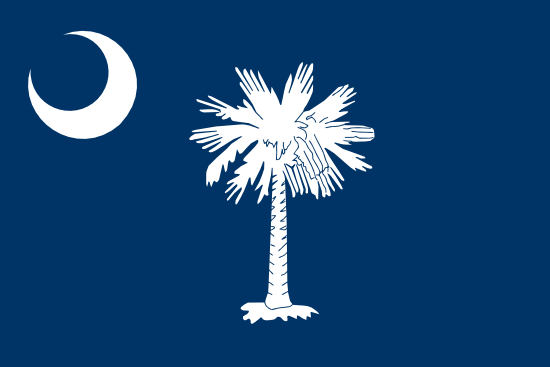 Mount Pleasant Flag